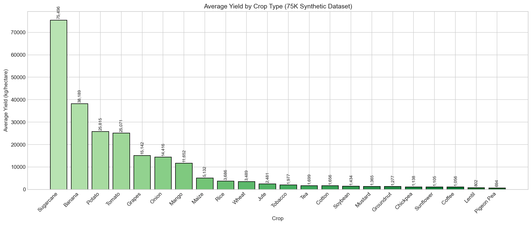 Crop Yield Comparison